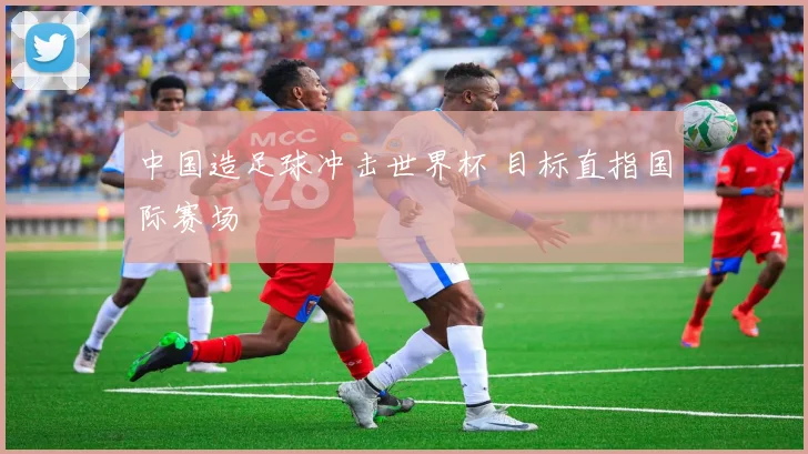 中国造足球冲击世界杯 目标直指国际赛场