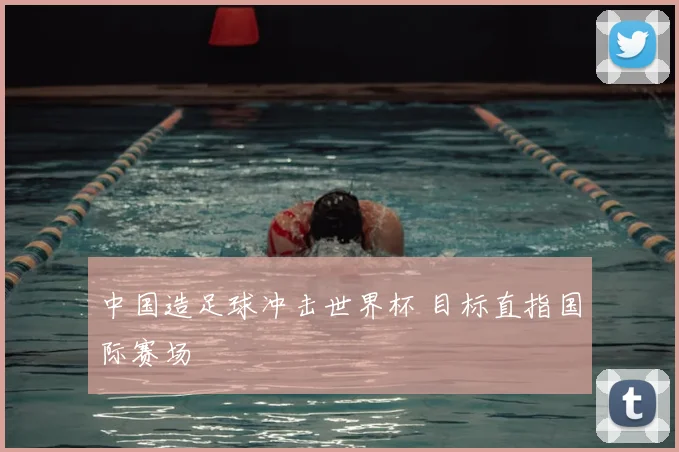 中国造足球冲击世界杯 目标直指国际赛场