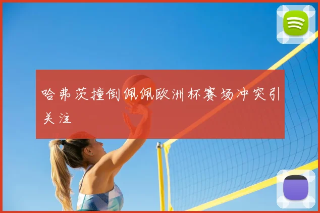 哈弗茨撞倒佩佩欧洲杯赛场冲突引关注