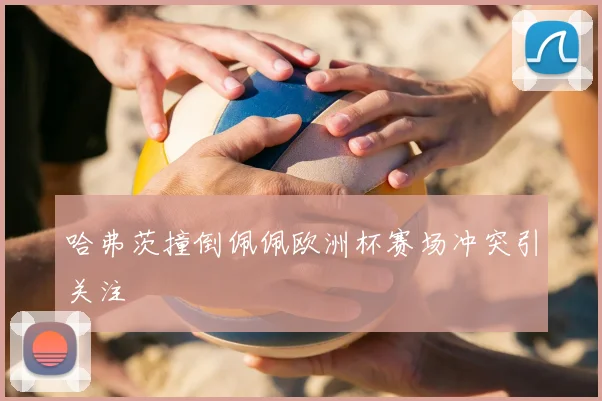 哈弗茨撞倒佩佩欧洲杯赛场冲突引关注