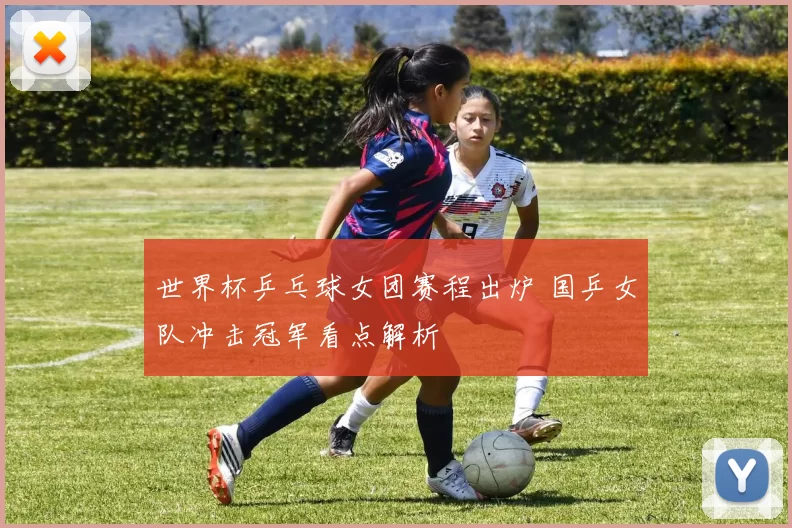 世界杯乒乓球女团赛程出炉 国乒女队冲击冠军看点解析