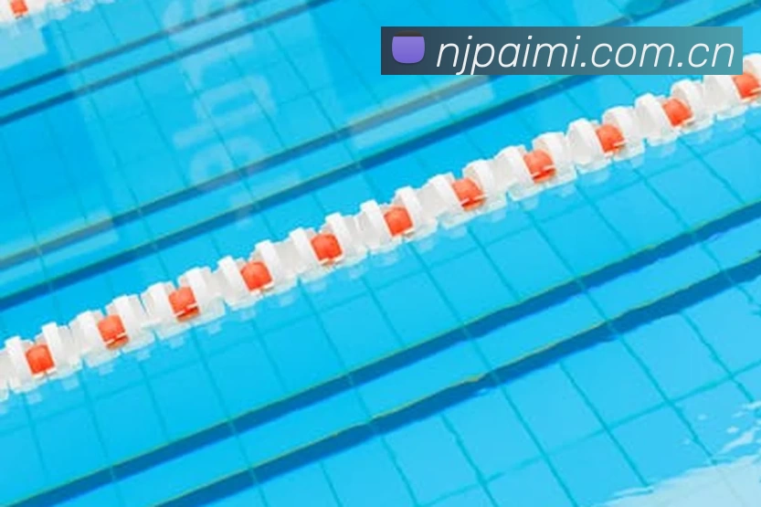 196体育下载(中国)官方在线登录平台生态图